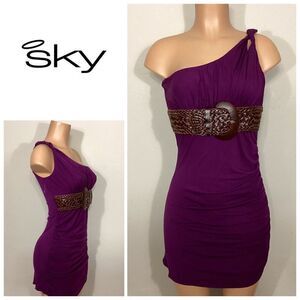 New. SKY purple Grecian style dress with leather. Normally $224. Medium